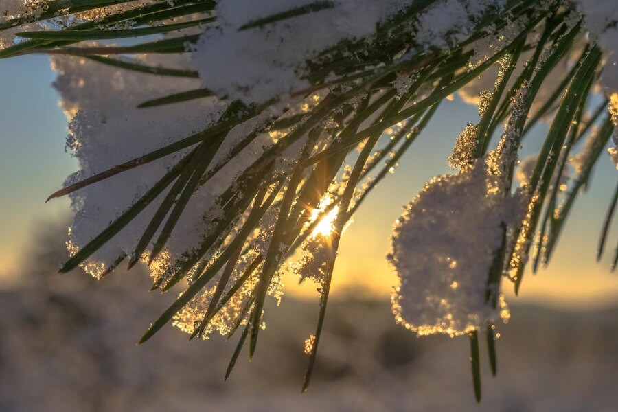 Гендиректор Центру громадського здоров’я про те, як уберегтися від переохолодження 1