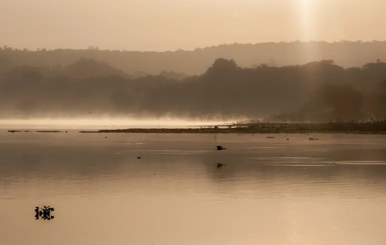 Глобальне потепління - дельти найбільших річок світу швидко опускаються - чому це погано 1