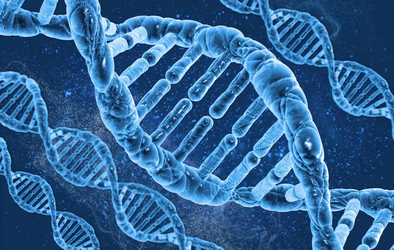 Google DeepMind представив AlphaGenome для аналізу ДНК - ШІ може одночасно читати до мільйона літер геному - новини науки 1