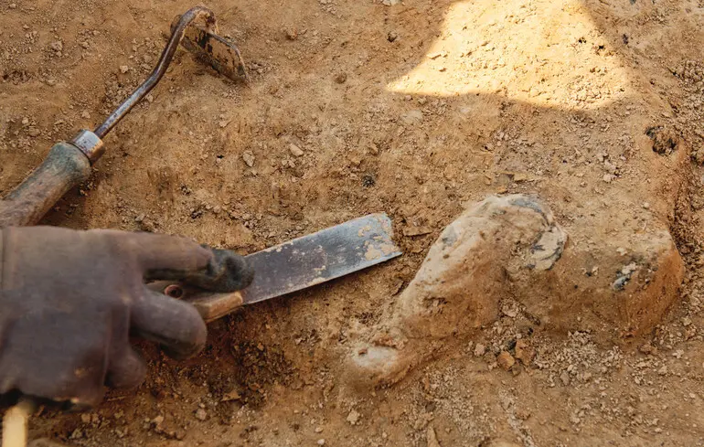 Інструмент віком 500 тисяч років ідентифікували в Англії - молоток із кістки слона створили давні люди - новини науки 1