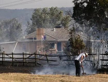 Лісові пожежі в Австралії - Вікторія оголосила надзвичайний стан через масштабне займання - фото 3