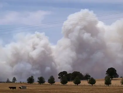 Лісові пожежі в Австралії - Вікторія оголосила надзвичайний стан через масштабне займання - фото 2