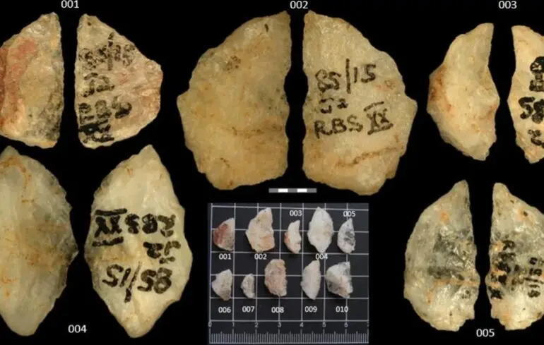 Найдавніша отруйна зброя - археологи знайшли стріли віком 60 000 років - новини науки 1