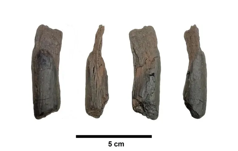 Найдавніші дерев'яні знаряддя у світі - що знайшли вчені в Греції - фото 1