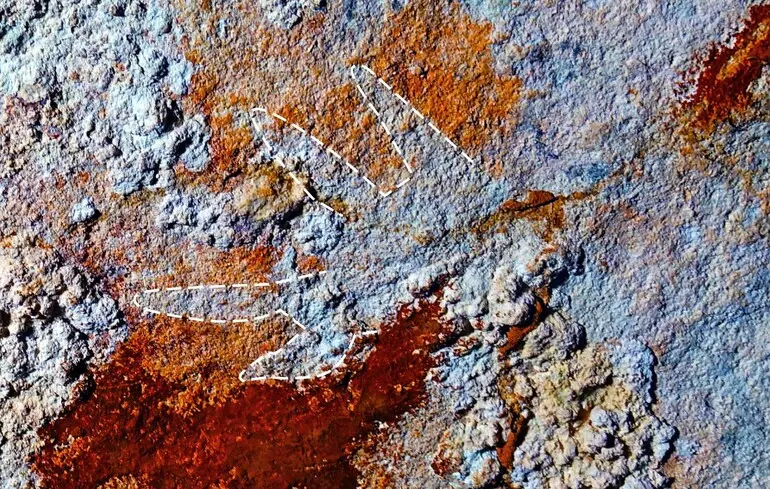 Найдавніший малюнок в історії людства - його знайшли в Індонезії 1