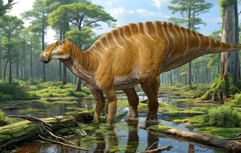 Новий вид качконосого динозавра знайшли серед скам'янілостей, виявлених 100 років тому 1