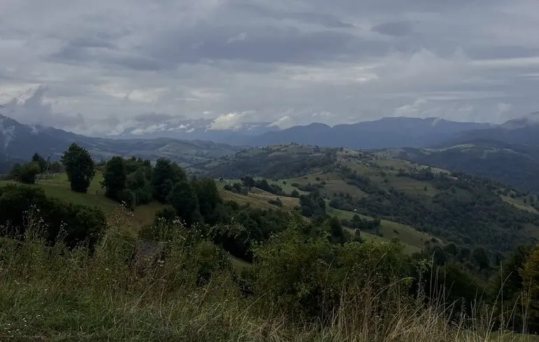 Продаж земель на полонині Боржава - група Льовочкіна придбала землю по 2 тис. грн за сотку 1