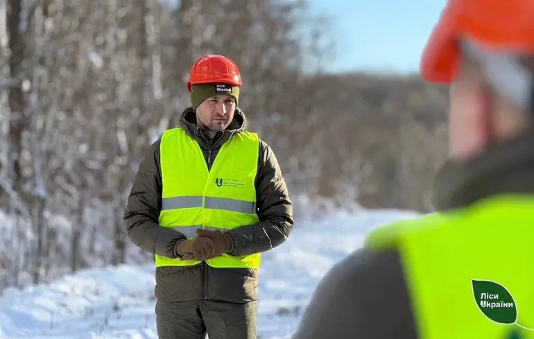 Рекордні 8,4 млрд грн прибутку: ДП Ліси України звітує про результати детінізації 1