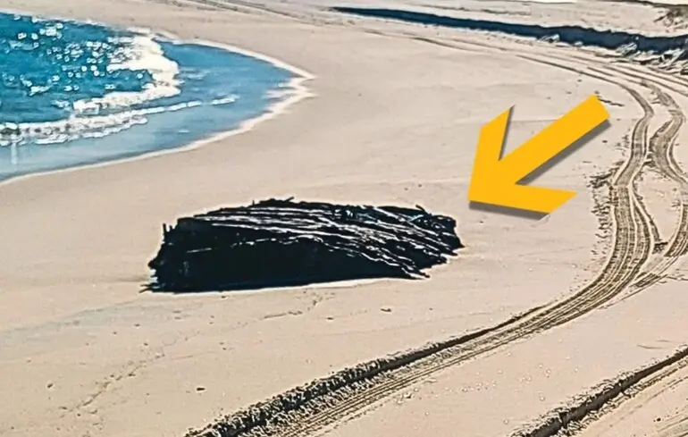 Шторм оголив сліди корабельної аварії на пляжі у США - коли вона сталася - фото 1