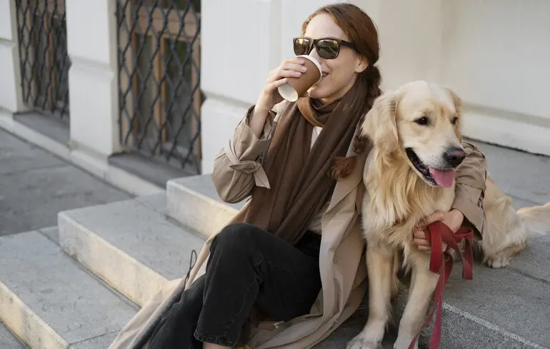 Собаки запам’ятовують назви іграшок - вчені пояснили, як тварини підслуховують людей - новини науки 1