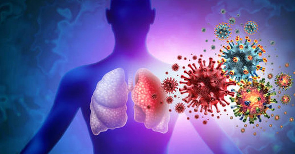 Вірус Nipah поширюється в Азії: в Індії підтвердили два випадки зараження 1