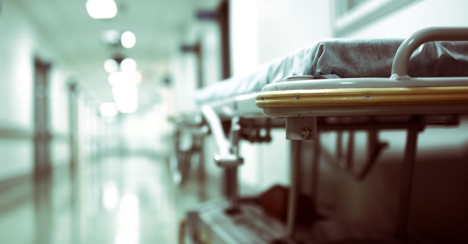 Зараження від тварин і вакцини немає: що відомо про смертоносний вірус Nipah 1