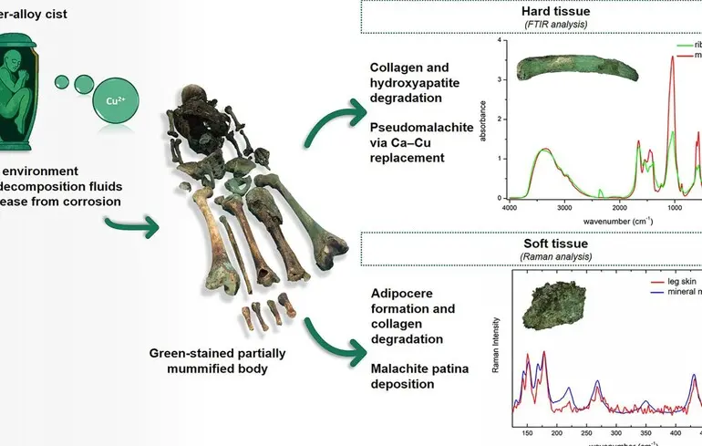 Зелена мумія розкрила свою таємницю - вчені розповіли, чому останки позеленіли 1