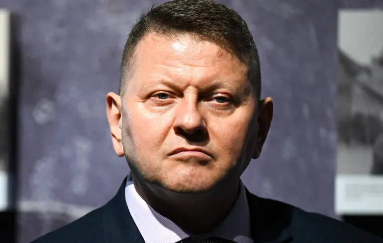 Чи братиме участь Залужний у виборах – коментар посла. 1