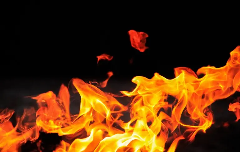 Еволюцію людства, ймовірно, спричинив вогонь. Науковці пов'язують імунітет та природний відбір із здатністю контролювати вогняні процеси. 1