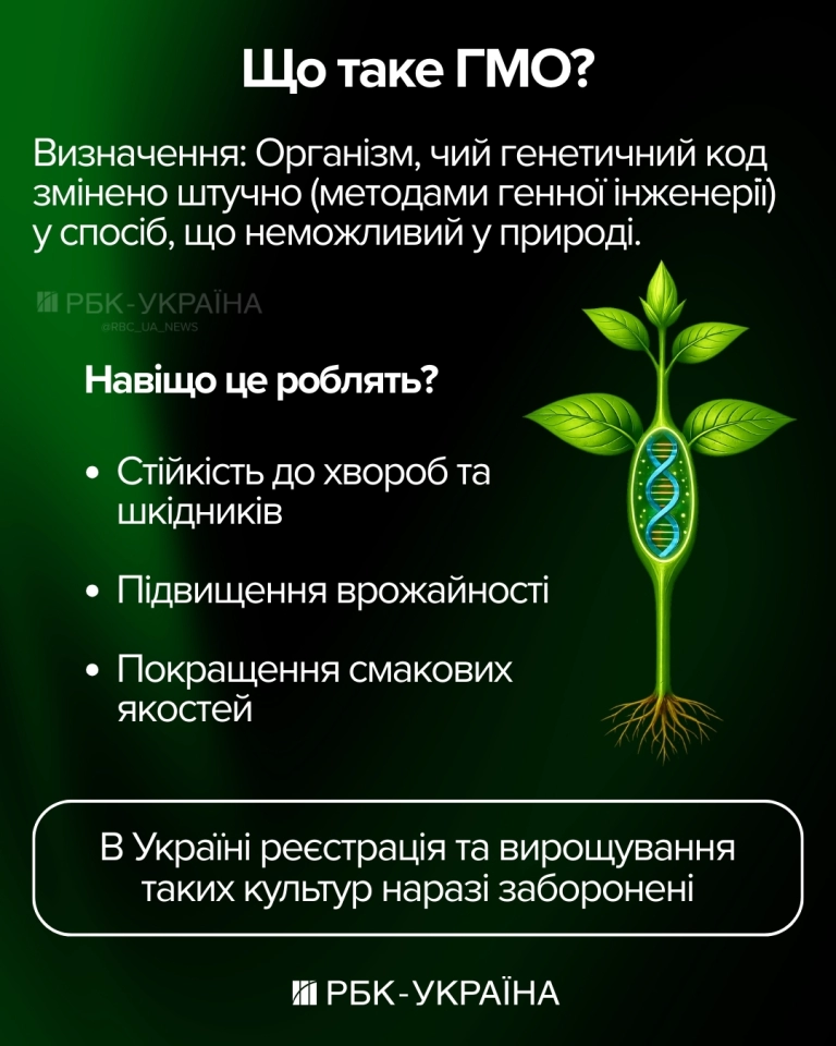 ГМО в агросектрі в Україні заборонено - заявив Тарас Висоцький 3
