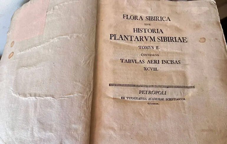 Книгу XVIII століття хотіли незаконно вивезти до Ірландії - артефакт передали Одеській національній науковій бібліотеці - новини України 1