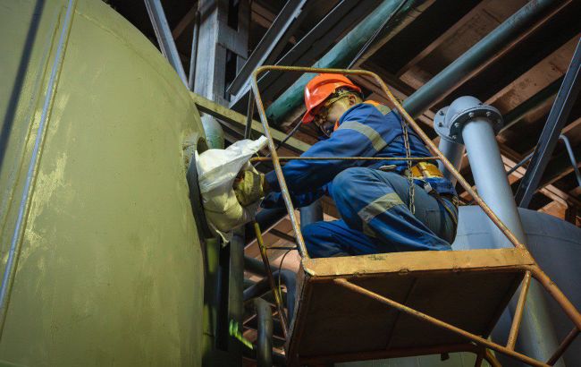 Опалення взимку можна брати з біопалива – як верба допомагає економити комунальним установам 1