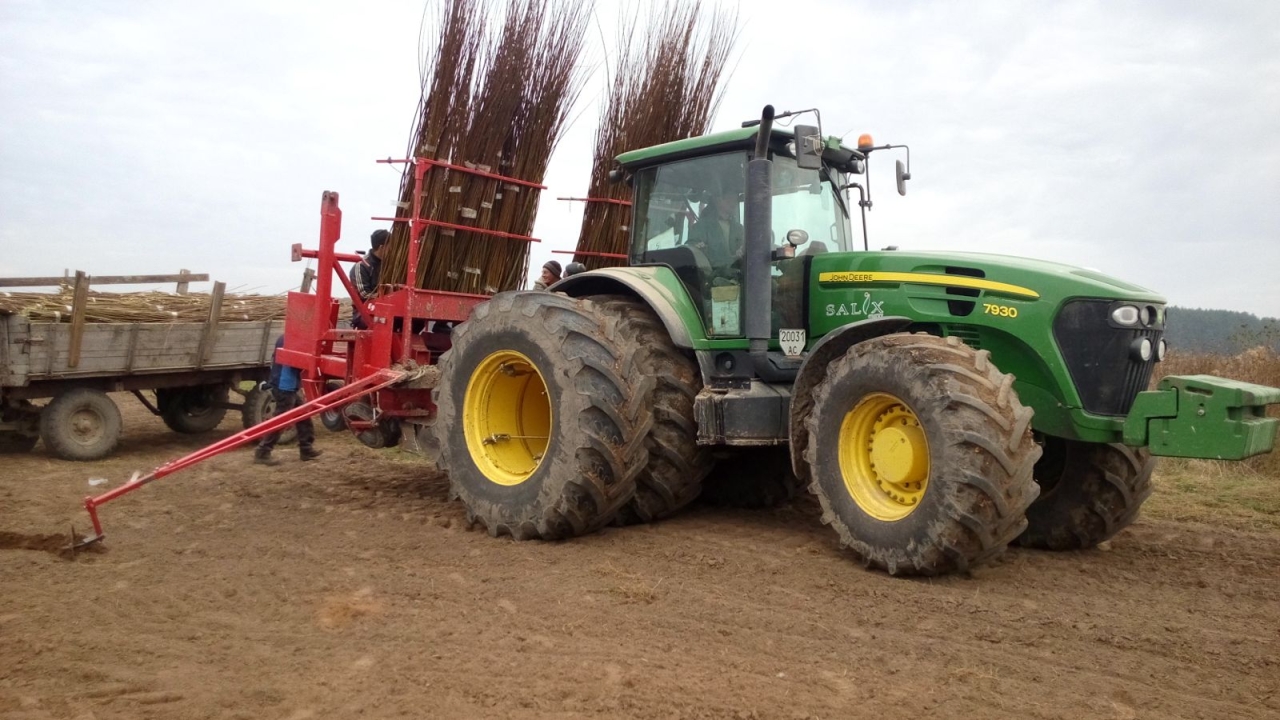 Опалення взимку можна брати з біопалива – як верба допомагає економити комунальним установам 7
