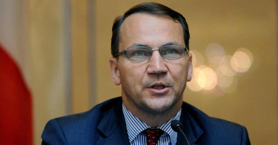 Сікорський: ступінь професійної зайнятості українських мігрантів перевищує показники польських. 1