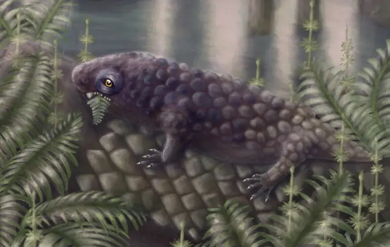 Вчені представили новий вид травоїдних тварин, які існували в давні часи. Дослідження дозволило отримати детальний опис цього виду, а також опублікувати фотографії, що ілюструють його особливості. 1