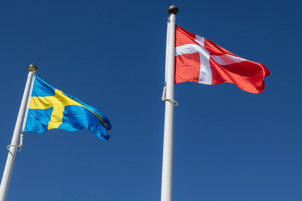 Військова допомога Україні - Данія та Швеція спільно поставлять системи ППО 1