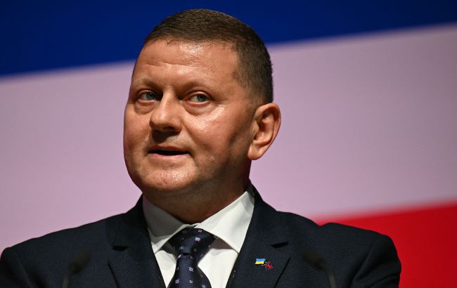 Залужний йтиме в політику чи ні - що каже посол і колишній головком ЗСУ 1