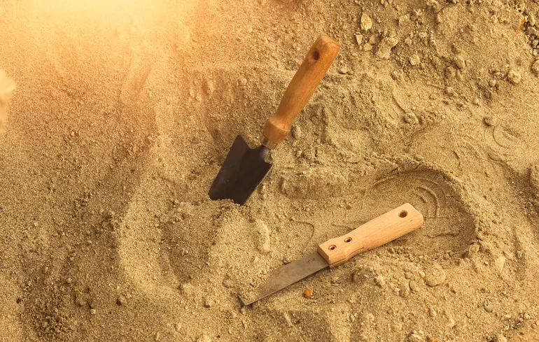 Археологи виявили, що стародавню жінку поховали в чоловічому одязі, що викликало цікавість щодо її ролі в суспільстві. Дослідження показали, що це може свідчити про особливий статус або унікальні обставини її життя. Фахівці продовжують вивчати цю знахідку, щоб зрозуміти її значення. 3