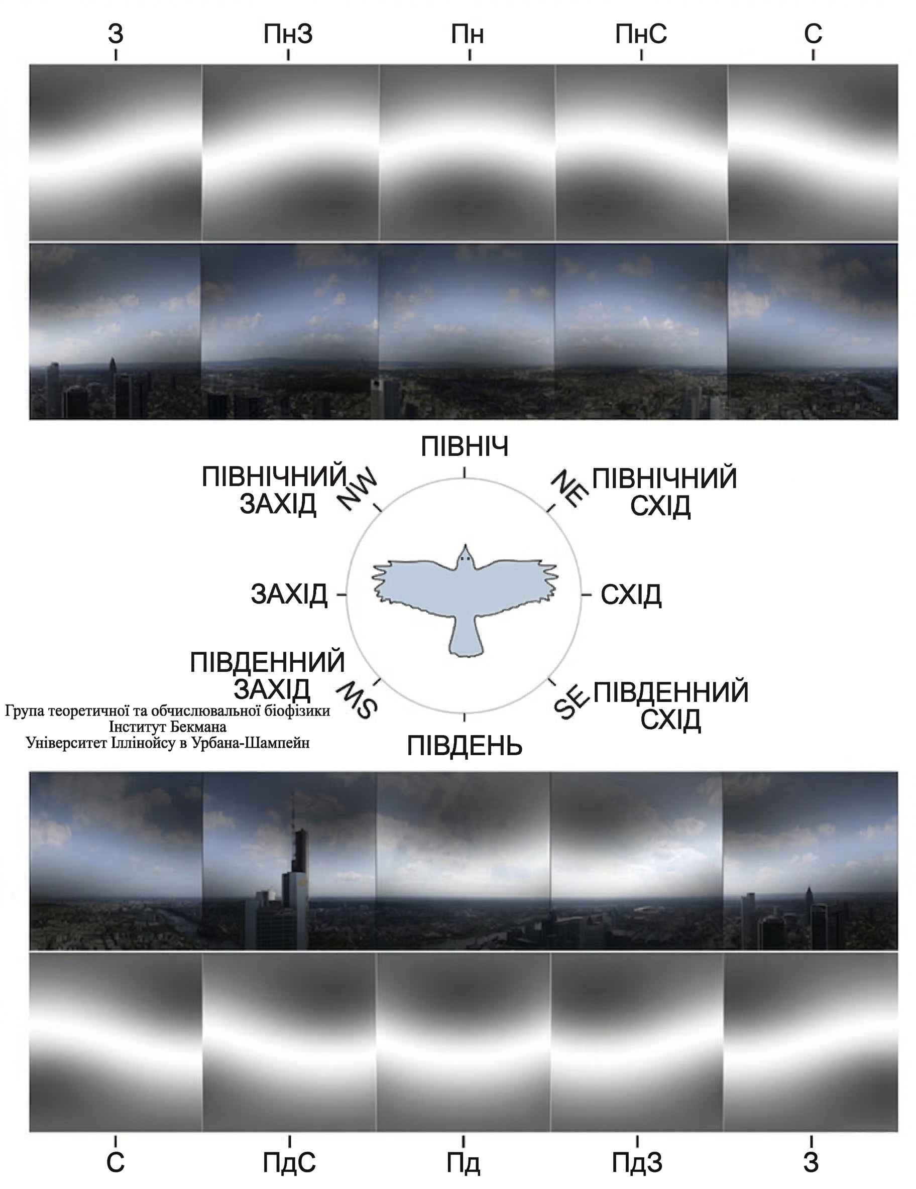 Чому птахи перетинають територію України - як функціонує квантова навігація під час їхнього міграційного польоту. 7