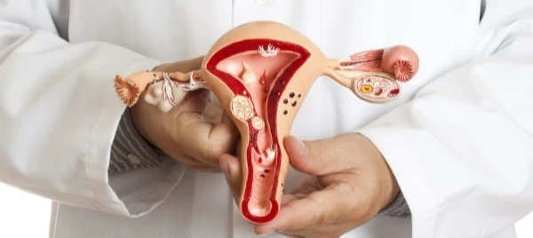 Чому регулярні огляди гінеколога важливі для жінок? 1