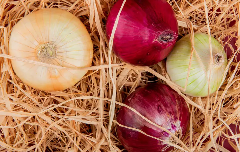 Ціни на цибулю в Україні 2026 – як змінилися у березні, скільки коштує цей овоч – новини України 1