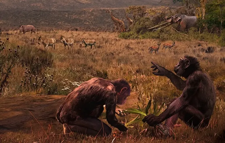 Дослідники виявили, що стародавні грекопітеки могли пересуватися на двох ногах. 1