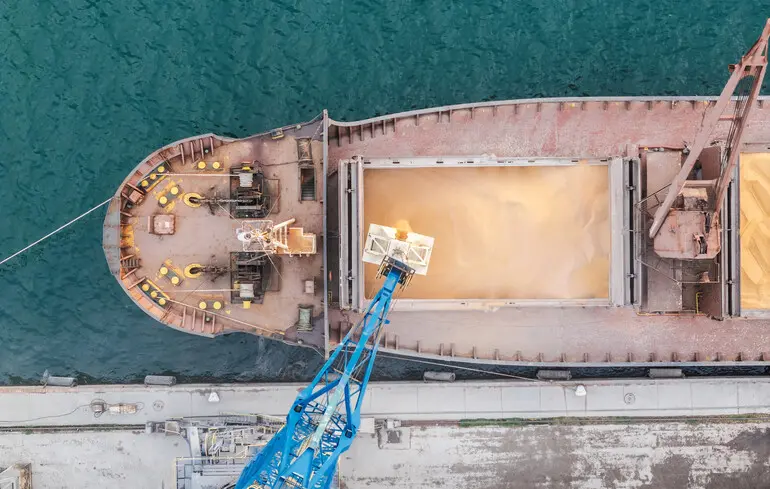 Експорт пшениці з України значно обвалився 1