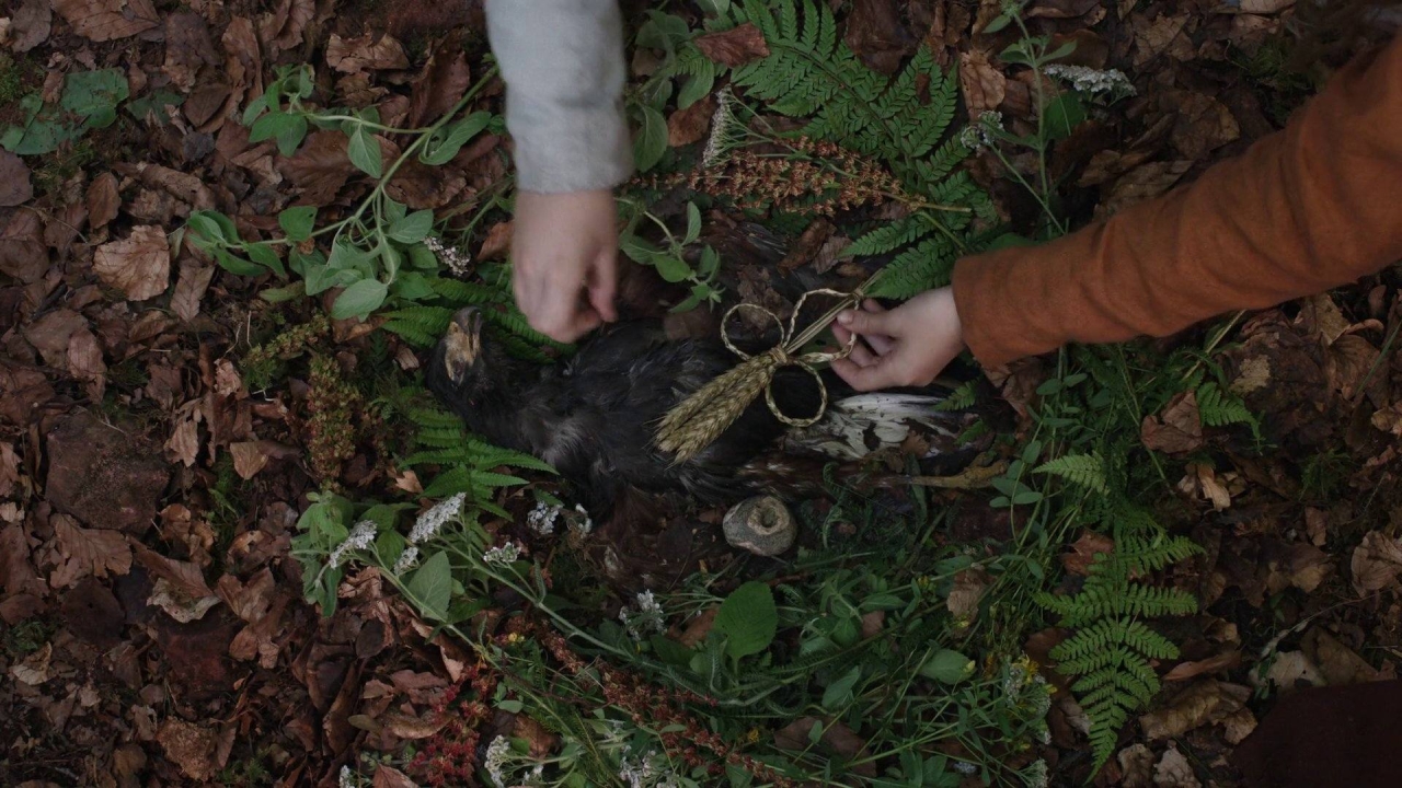 Фільм Гамнет - Хлоя Чжао зняла радикальну драму про дружину Шекспіра 8