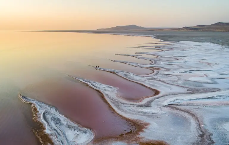 Науковці виявили новий вид тварин у Великому Солоному озері – мікроскопічні черв'яки мешкають у солоних осадках. 1