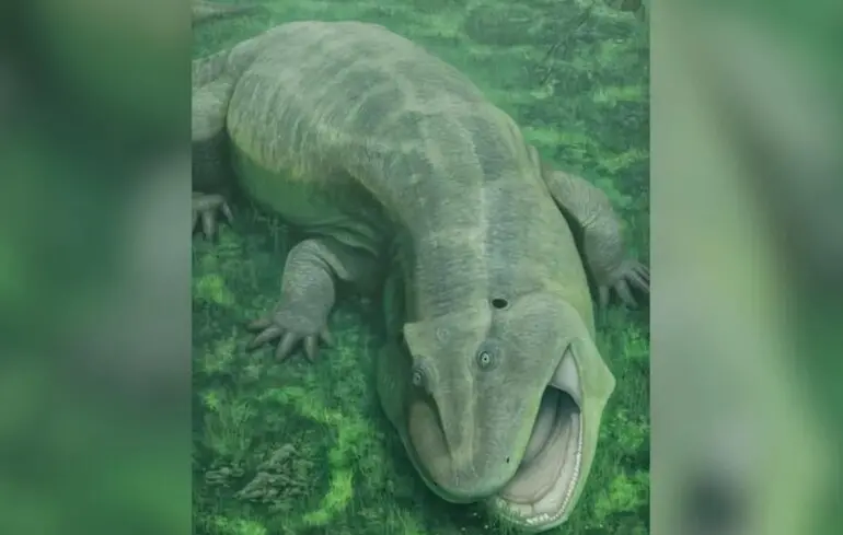 Науковці виявили рештки незвичайної істоти, що існувала 275 мільйонів років тому - фото. 1