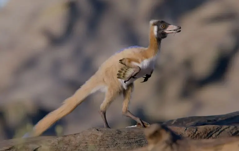 Новий вид динозавра, виявлений у Патагонії, змінив уявлення про історію цих істот - результати дослідження вчених - фото. 1