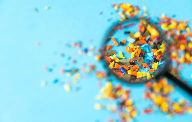 Організм стикається з труднощами у боротьбі з інфекціями, оскільки мікропластик може негативно впливати на функціонування імунних клітин. 1