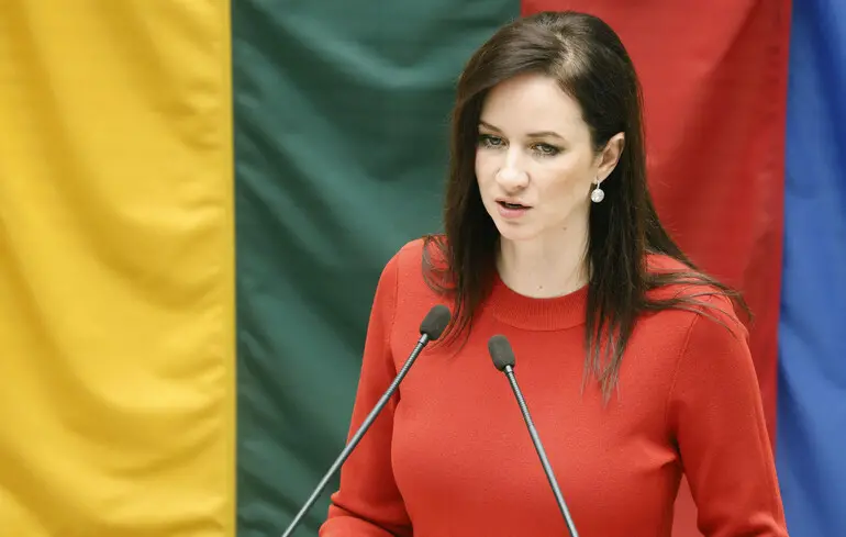 Падіння дрона в Литві - деталі від прем'єр-міністерки країни 1