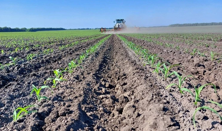 Продовольча загроза. Внаслідок конфлікту в Ірані зросли ціни на добрива під час активної посівної кампанії. 3