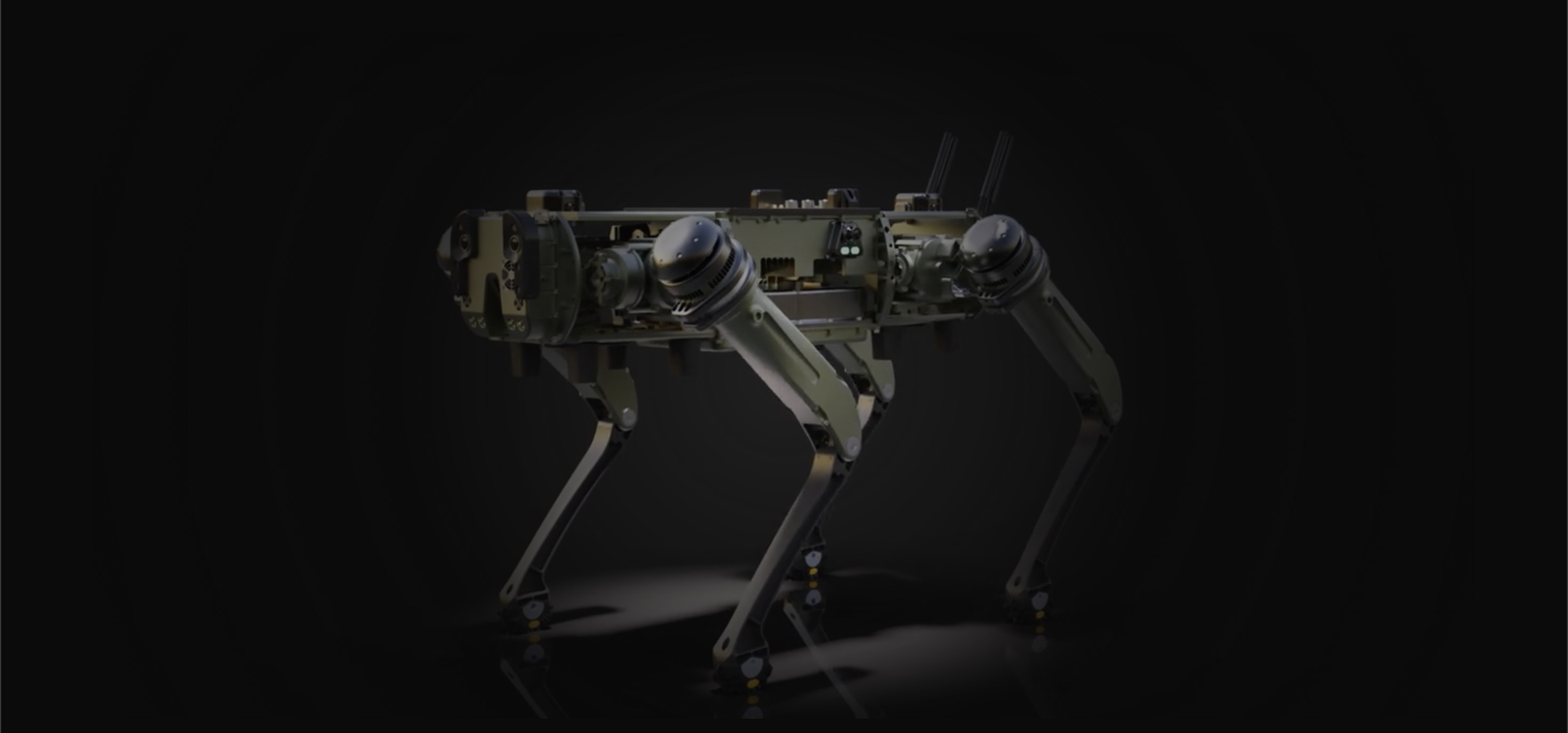 Службові собаки забезпечують охорону центрів обробки даних, при цьому компанії витрачають на заходи безпеки до 300 тисяч доларів. 6