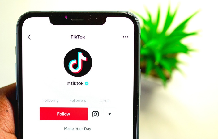 TikTok розширює свої горизонти: соціальна мережа залучає акторів для створення власних мікросеріалів. 1