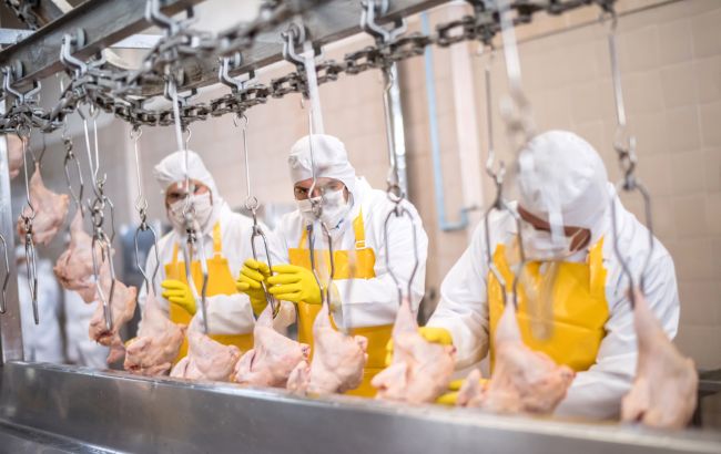 Торгова війна з Молдовою - як блокують українську курятину 1