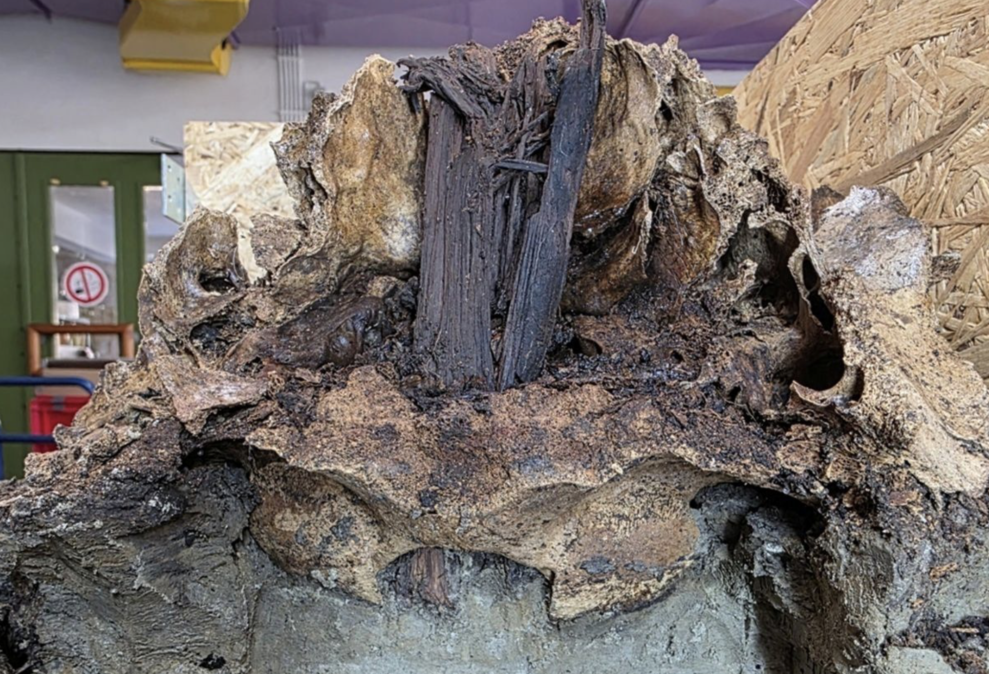 У Німеччині виявили череп тура, якому близько 10 500 років, на стовпі. Археологи провели дослідження найстарішої кремаційної могили. 2