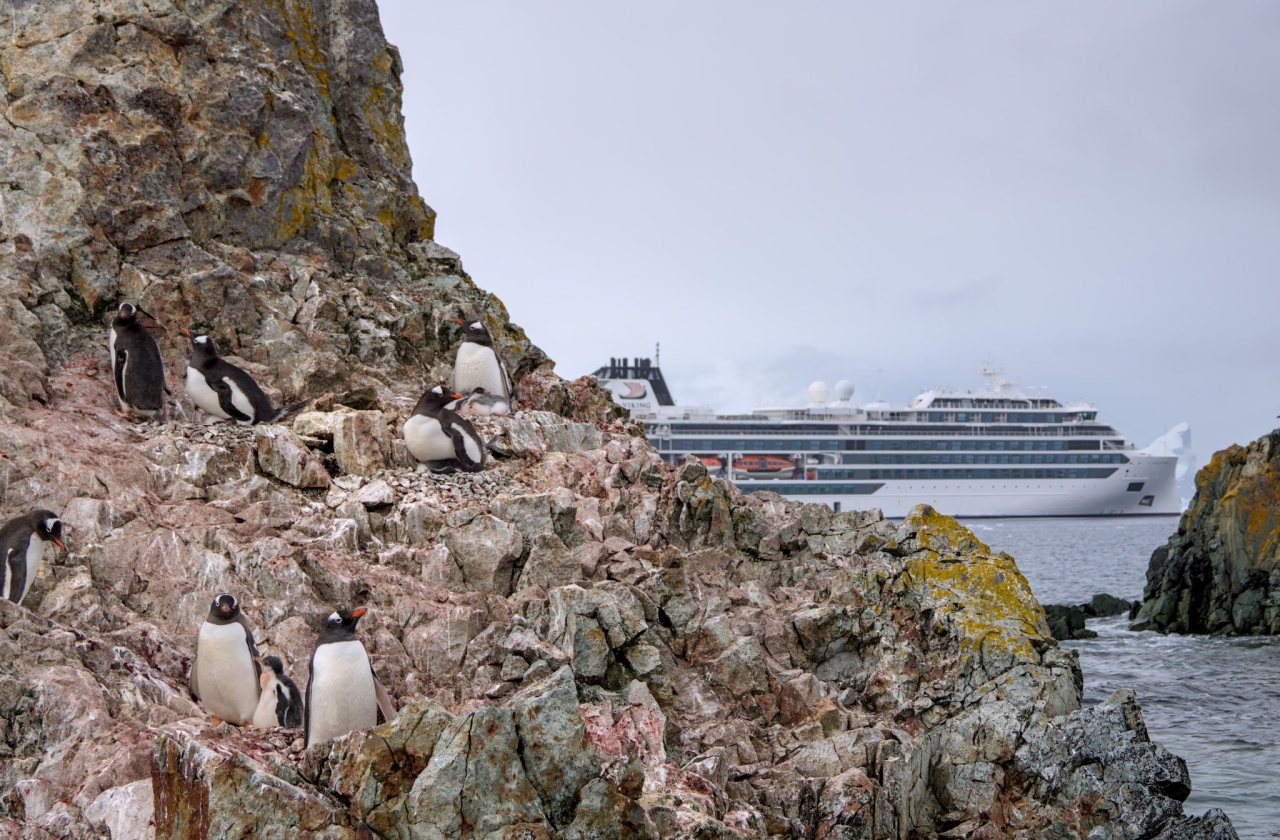 Українські полярники встановили рекорд на WikiScience Contest - антарктичні фото взяли три перших місця - новини науки 5