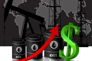 Водіям в Україні в держбюджеті передбачили компенсацію - скільки можна отримати 2