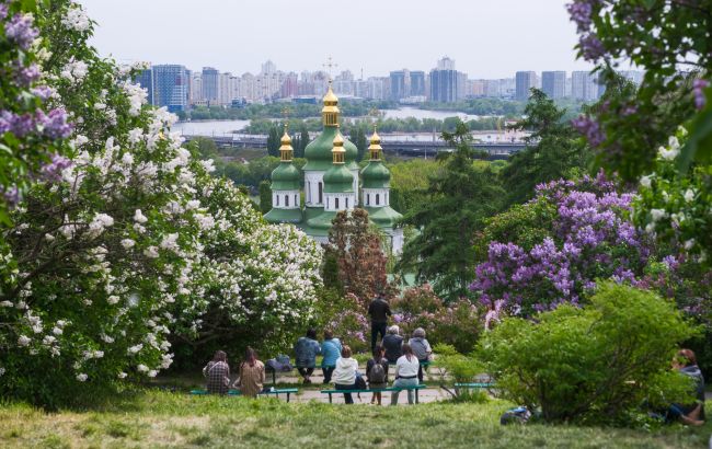 Ботанічний сад імені Гришка: як формували бузковий сад у Києві та які рідкісні сорти там представлені. 1