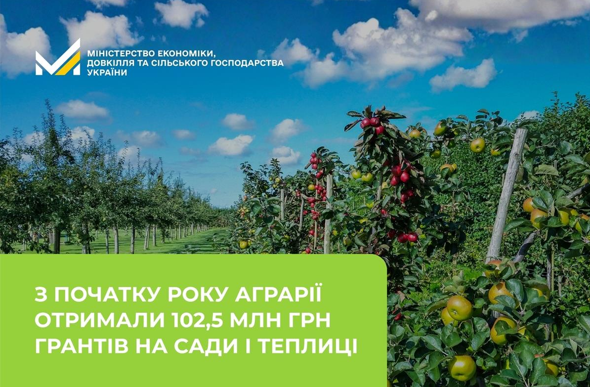 Гранти на садівництво та теплиці в Україні: від чого залежить сума та як подати заявку, умови 2026 року. 2