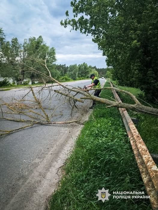 Непогода в Україні 27 травня - які наслідки сильного вітру та дощу з градом у регіонах. 3