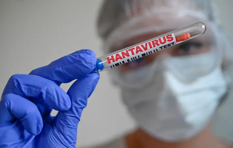 Спалах хантавірусу - у ВООЗ прогнозують, що випадків побільшає 1